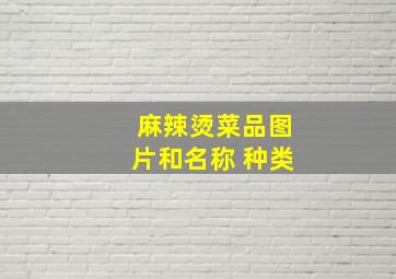 麻辣烫菜品图片和名称 种类